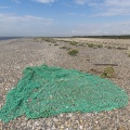 Déchets issus de la pêche sur le cordon de galets à Cayeux-sur-mer