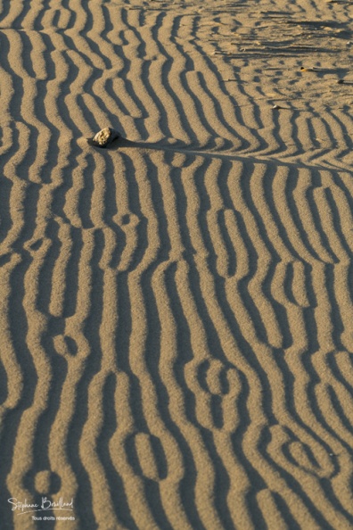 Dessins laissés par le vent et l'eau sur le sable à marée basse.