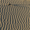 Dessins laissés par le vent et l'eau sur le sable à marée basse.