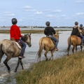 Cavaliers dans les mollières du Cap Hornu innondées