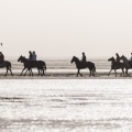 Groupe de cavaliers en contre-jour en baie de Somme