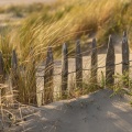 Dunes le long de la plage du Crotoy