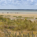 Les dunes le long de la plage du Crotoy