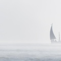 Flobart dans la brume - Le Hourdel - Baie de Somme