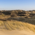 Les dunes du Marquenterre, entre Fort-Mahon et la Baie d'Authie