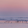 La plage de Quend-Plage (Côte Picarde) au crépuscule 