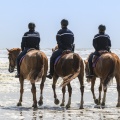 Gendarmes sur les  chevaux de la garde républicaine 