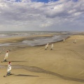 Les chars-à-voile sur la plage de Quend
