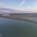 Les phoques sur leur reposoir à marée basse à la pointe du Hourdel en baie de Somme
