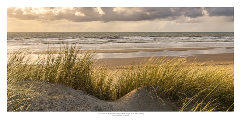 Les dunes du Marquenterre en fin de journée