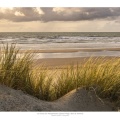 Les dunes du Marquenterre en fin de journée