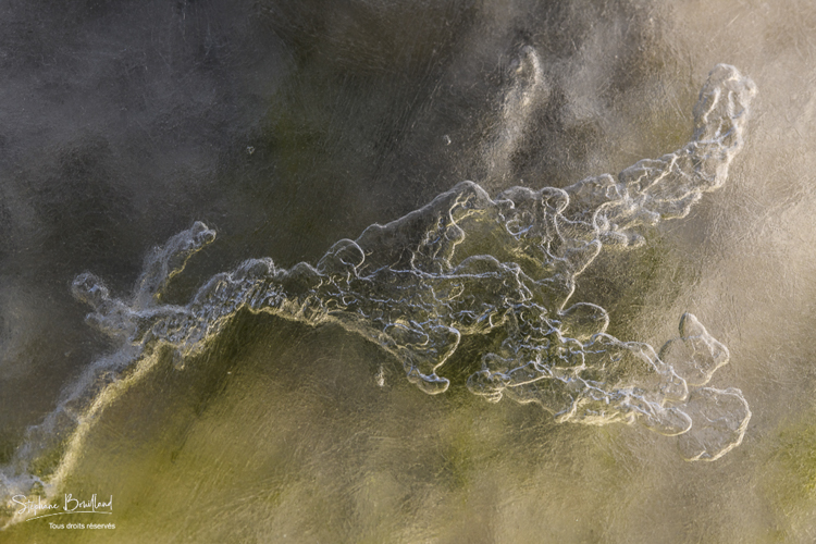Gros plan sur la glace en Baie de Somme