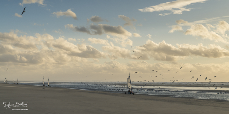 Chars-à-voile sur la plage de Quend-Plage au crépuscule