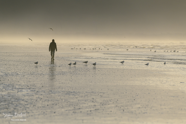 Promeneurs sur la plage de Quend-plage en hiver