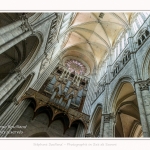 Amiens_Cathedrale_08_06_2017_048-border