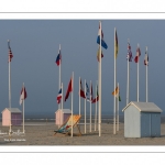Rencontres Internationales de Cerfs-Volantsde Berck-sur-mer