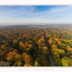 Foret_Crecy_drone_Automne_01_11_2016_003-border