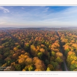 Foret_Crecy_drone_Automne_01_11_2016_007-border