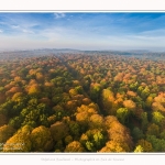 Foret_Crecy_drone_Automne_01_11_2016_008-border
