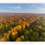 Foret_Crecy_drone_Automne_01_11_2016_009-border