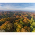 Foret_Crecy_drone_Automne_01_11_2016_012-border