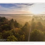 Foret_Crecy_drone_Automne_01_11_2016_015-border