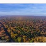 Foret_Crecy_drone_Automne_01_11_2016_017-border