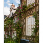 Gerberoy, un des Â« Plus beaux villages de France Â».
Ses maisons du XVIIe et XVIIIe siÃ¨cles, en bois et torchis ou briques et silex, font de Gerberoy un lieu de promenade unique. Au printemps et en Ã©tÃ©, les rosiers grimpants sur les faÃ§ades transforment la commune en vÃ©ritable roseraie. Saison : Printemps - Lieu : Gerberoy, Oise (60), Picardie, France
