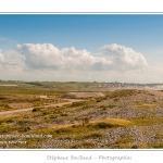 Vue sur la rÃ©serve naturelle - Saison : Printemps - Lieu : HÃ¢ble d'Ault, Cayeux-sur-mer / Ault, Baie de Somme, Somme, Picardie, France