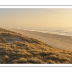 Les dunes le long de la plage de Quend-Plage (Côte Picarde)