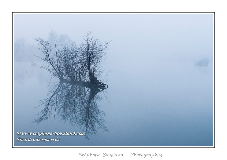Dans le brouillard des marais de la Somme