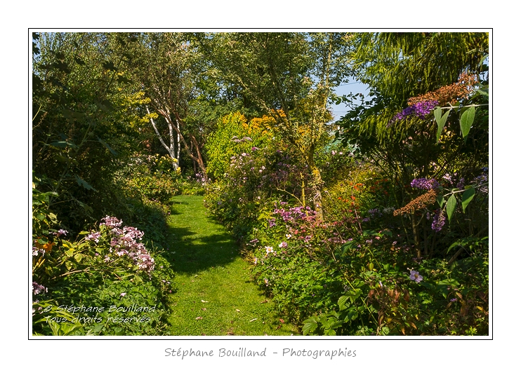 Les_jardins_des_lianes_0007-border