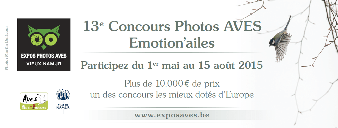 bandeau_concours_2015_mesange