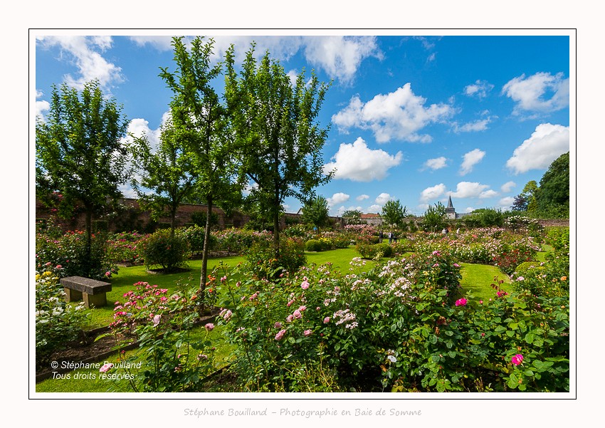 Saison : été - Lieu : Parc du chateau de Rambures, Somme, Picardie, Hauts-de-France, France