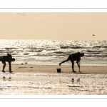 Les pêcheurs sur la plage de Ault