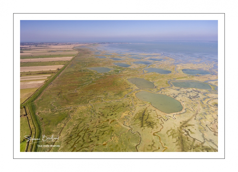 Grandes marées en Baie de Somme