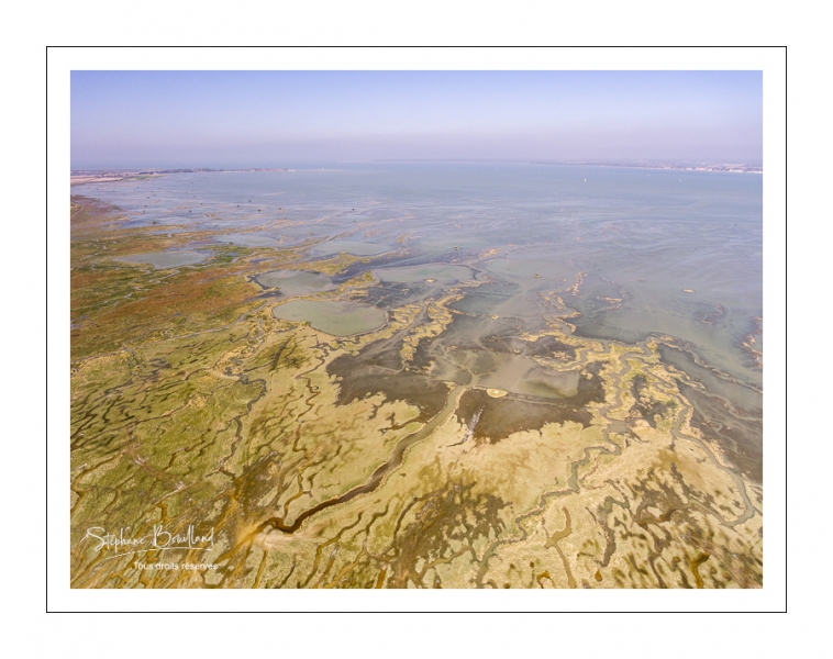 Grandes marées en Baie de Somme