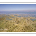 Grandes marées en Baie de Somme