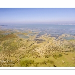 Grandes marées en Baie de Somme