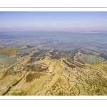 Grandes marées en Baie de Somme