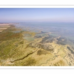 Grandes marées en Baie de Somme
