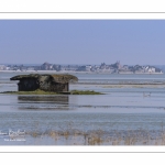 Grandes marées en Baie de Somme