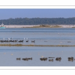 Grandes marées en Baie de Somme