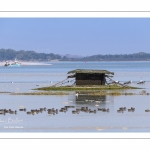 Grandes marées en Baie de Somme