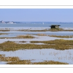 Grandes marées en Baie de Somme