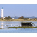 Grandes marées en Baie de Somme