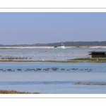 Grandes marées en Baie de Somme