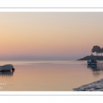 Goéland posé sur un barque dans le chenal de la Somme au petit matin.