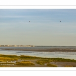 Mongolfières survolant le Crotoy en Baie de Somme