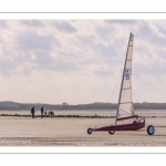 Europal Trophy - Compétition de chars-à-voile sur la plage de Berck-sur-mer.